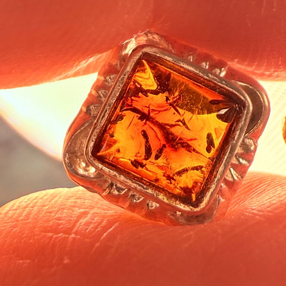 Honey Baltic Amber Insect Inclusions Sterling Silver Square Framed Stud Earrings - Picture 4 of 10